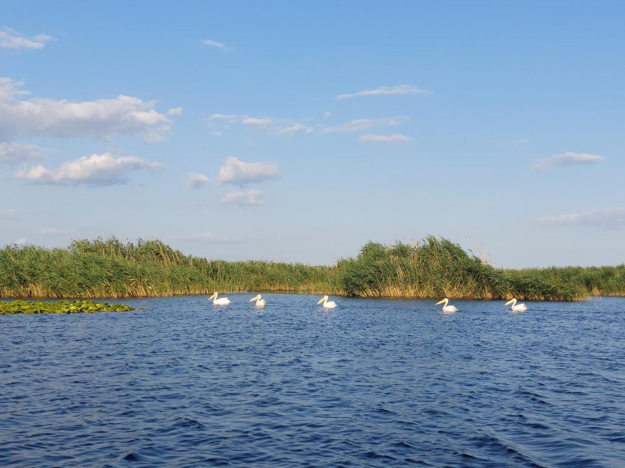 Pensiunea Paradiso Sarinasuf Zewnętrze zdjęcie