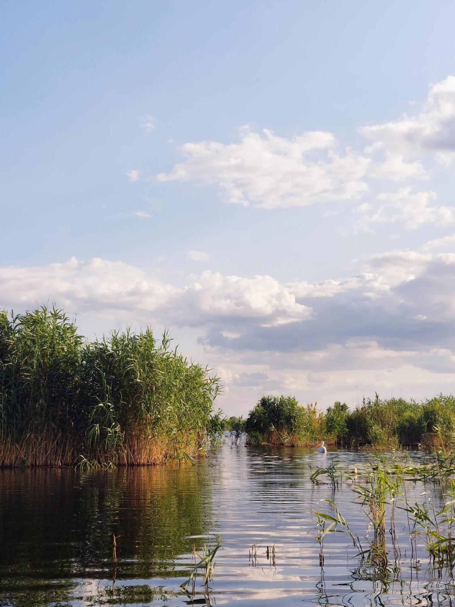 Pensiunea Paradiso Sarinasuf Zewnętrze zdjęcie